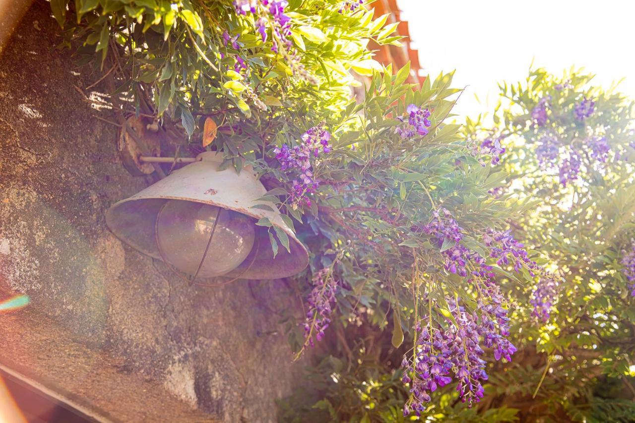 Bed and Breakfast Le Mas Des Roches Proche Puy Du Fou Saint-Paul-en-Pareds Exteriér fotografie