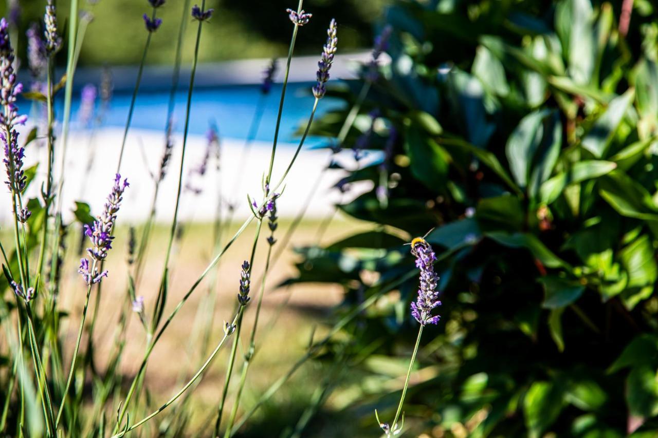 Bed and Breakfast Le Mas Des Roches Proche Puy Du Fou Saint-Paul-en-Pareds Exteriér fotografie